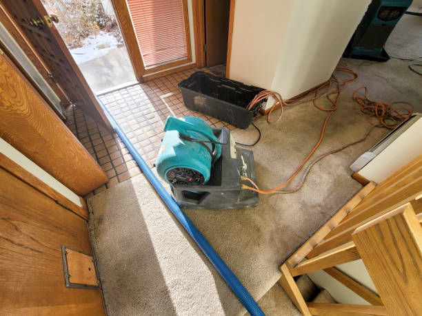 Reliable Raynham Center, MA Water damage restoration Solutions