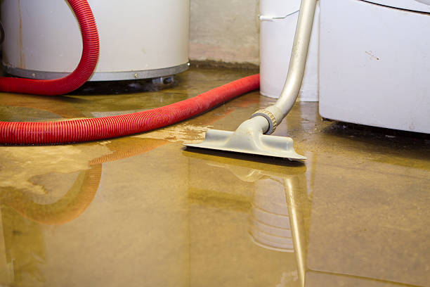 Trusted Water Damage Restoration in Raynham Center, MA | Fast, Reliable, and Ready to Assist You